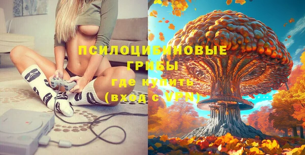 соль ск Абдулино
