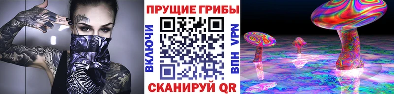 купить наркотики сайты  Невельск  Галлюциногенные грибы GOLDEN TEACHER 