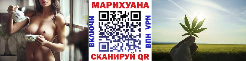 закладки  Невельск  Конопля тримм 